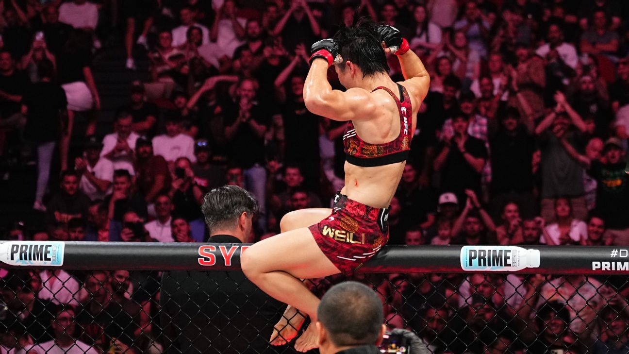 展的阶段性 展的阶段性